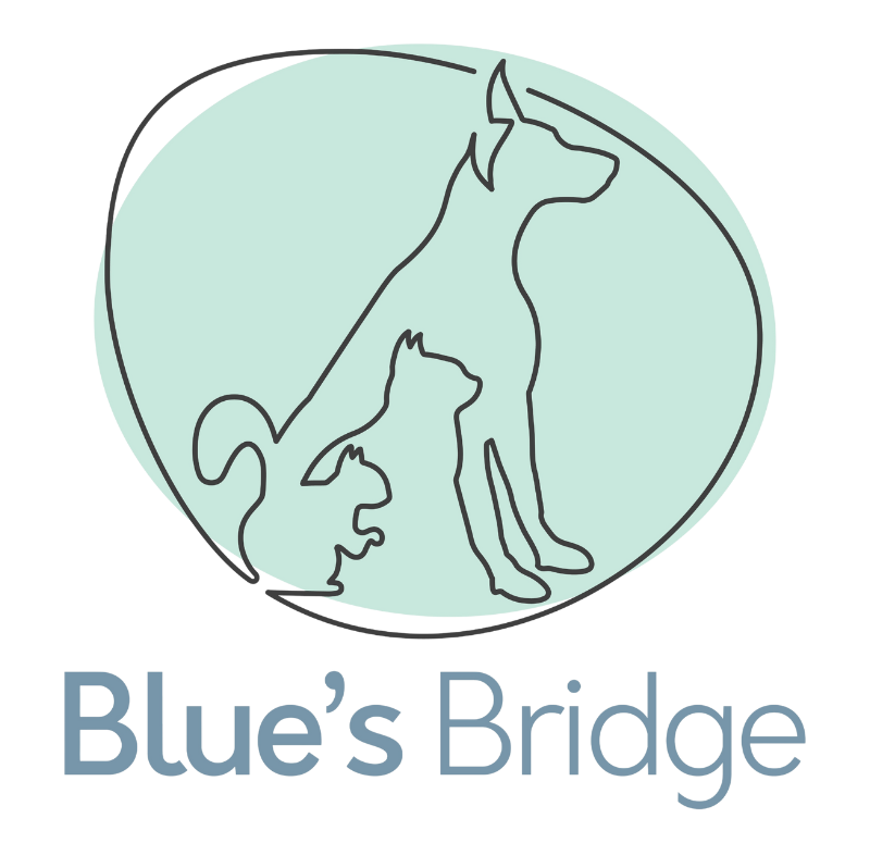 Blue's Bridge Logo